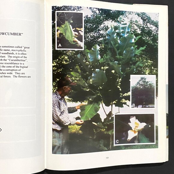 Trees of Mississippi and Other Woody Plants Hardcover George H Dukes Jr - Picture 7 of 8